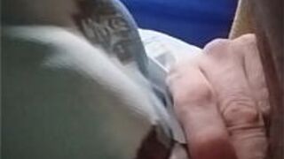 Sucking a rich penis - porn video