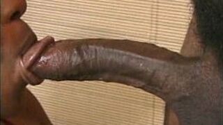 Black hottie fucking - porn video