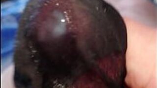 Horny in old stockings - porn video