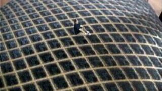 Giantess Crush - porn video