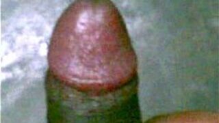 bite my black cock - porn video